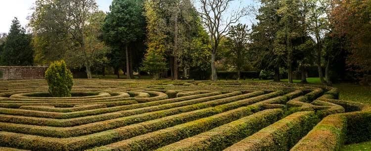 Doxford-hall-maze