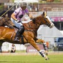 Coutts International Polo Weekend