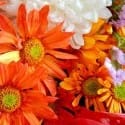 RHS Chelsea Flower Show