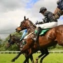 Grand National 2013