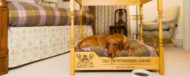 Devonshire Arms dog friendly room