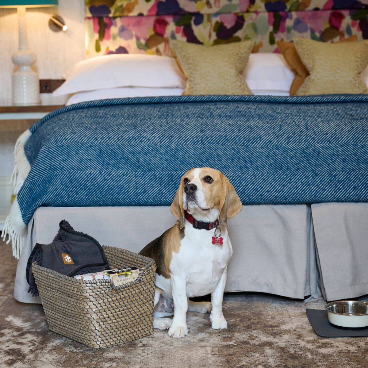 Seaham Hall dog friendly room