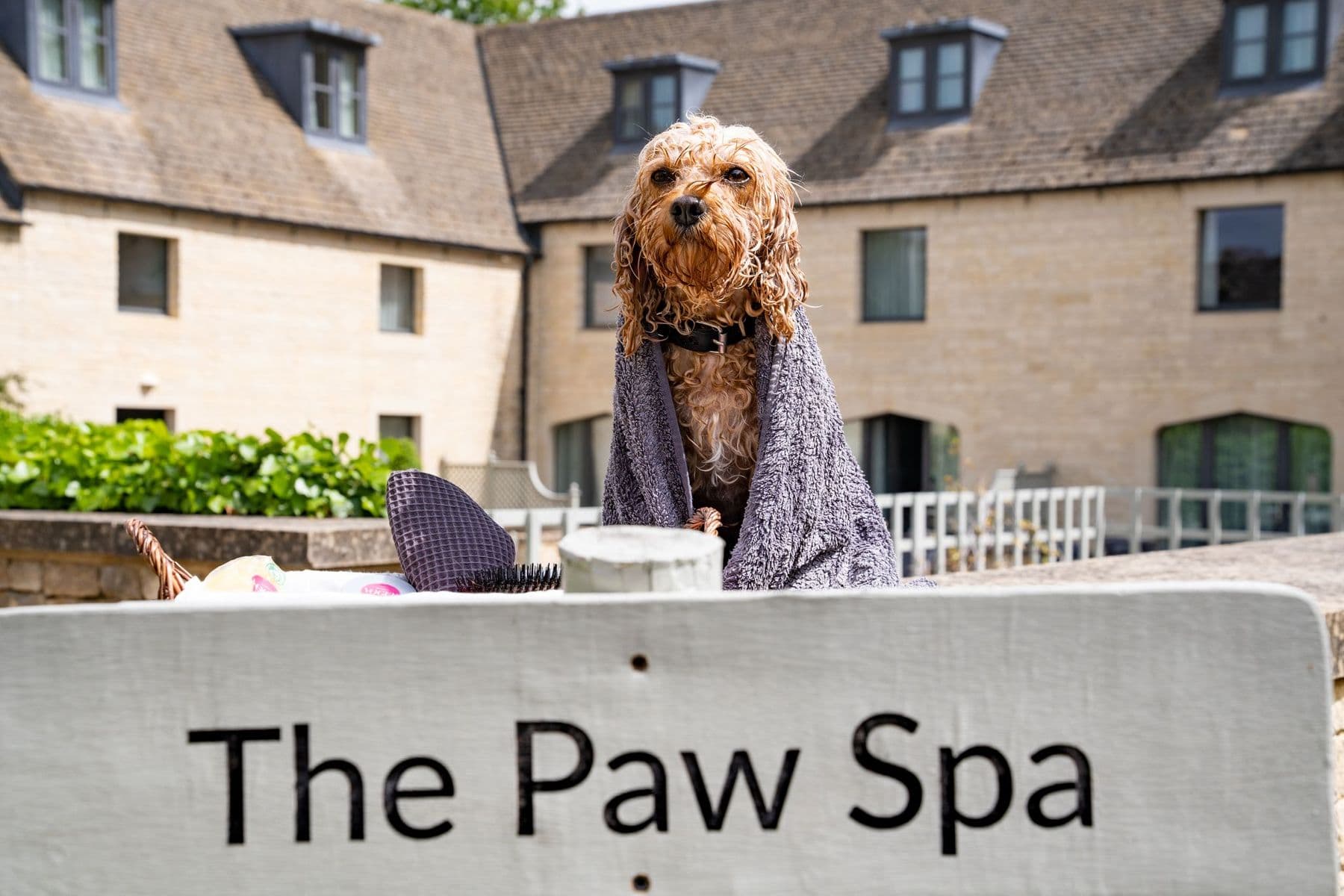 Ellenborough Park dog spa