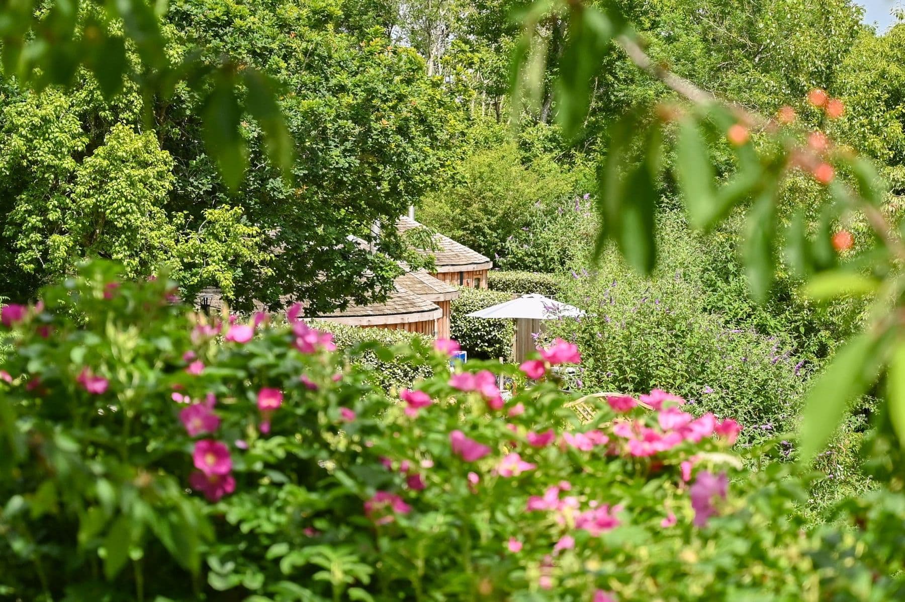 Dittisham Hideaway Treehouse