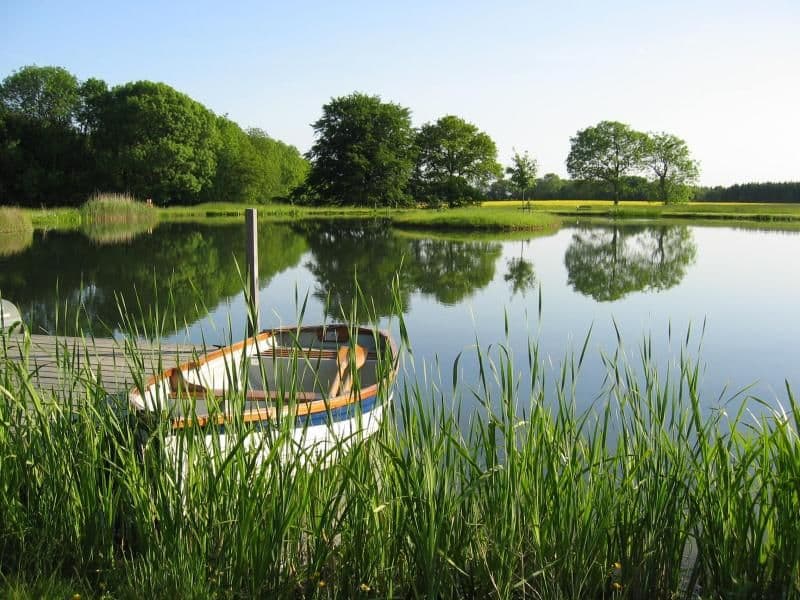 Farleigh Wallop House rowing boat on lake