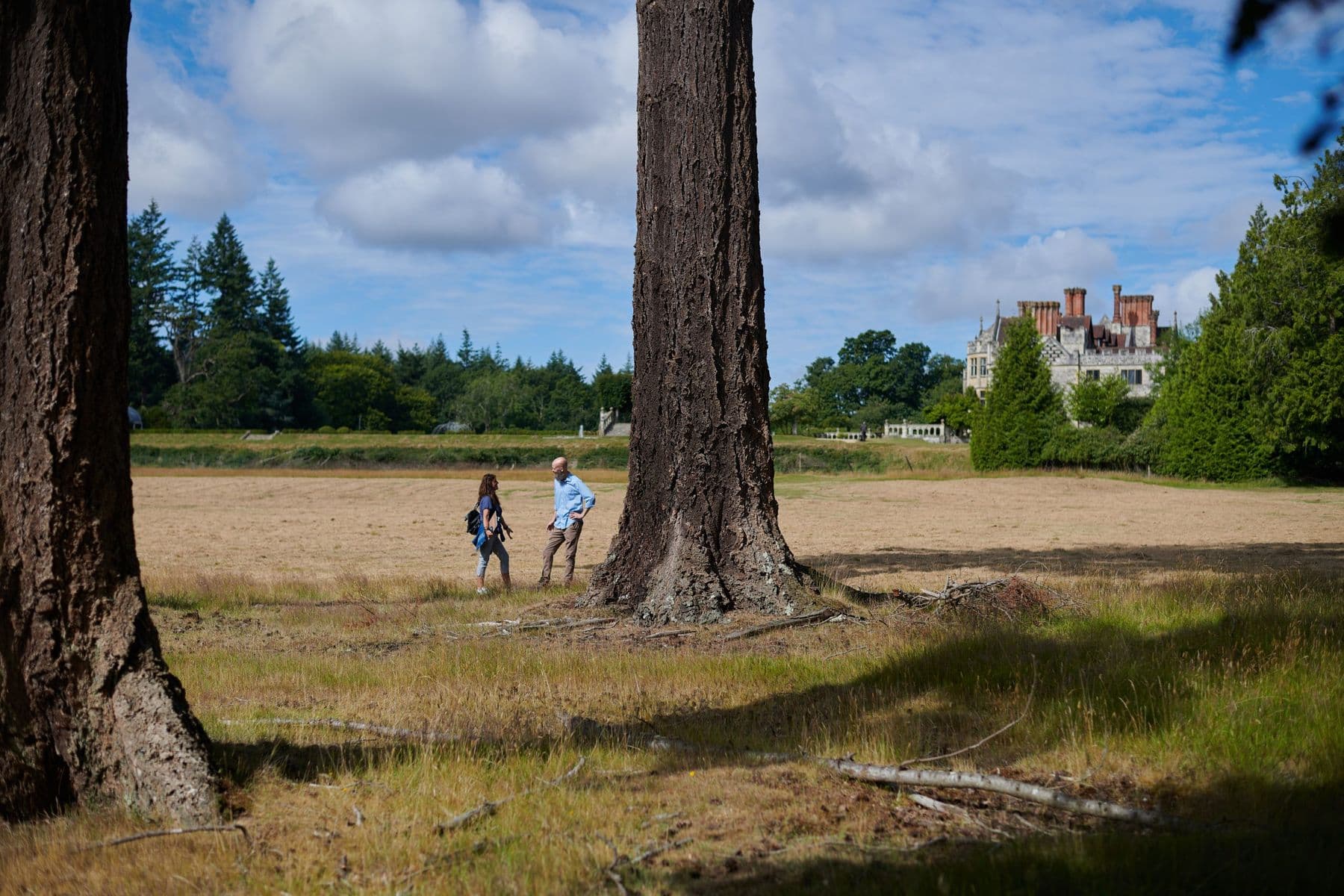 Rhinefield House woodland