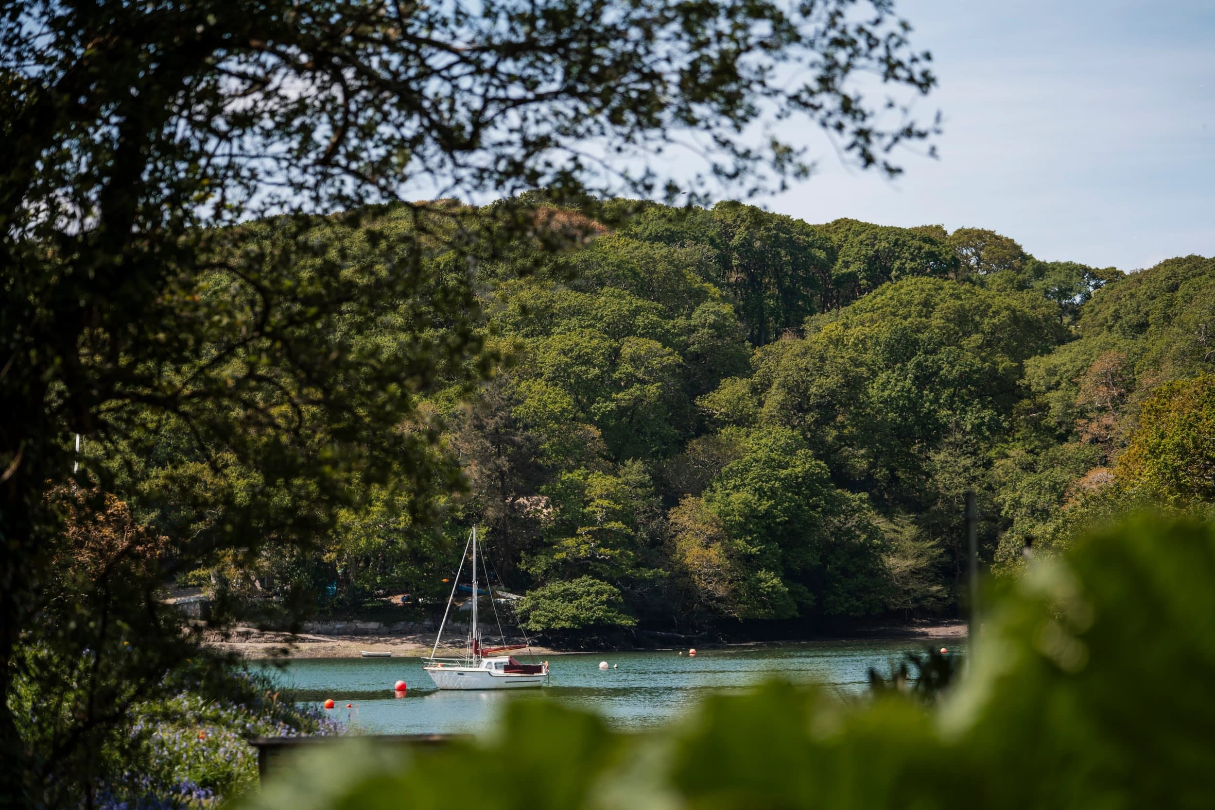 Sailing Breaks at Budock Vean
