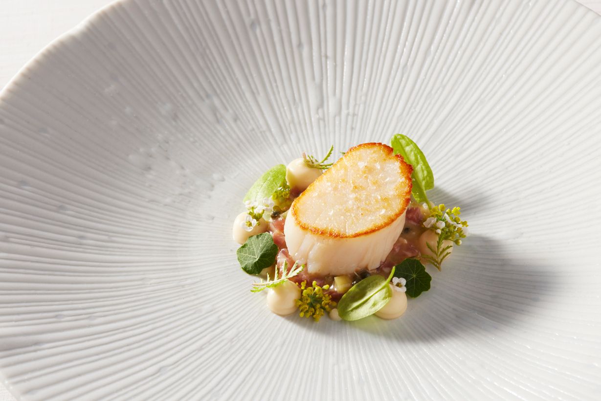 gilpin source scallops