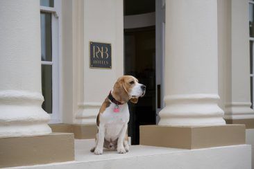 Seaham Hall dog friendly