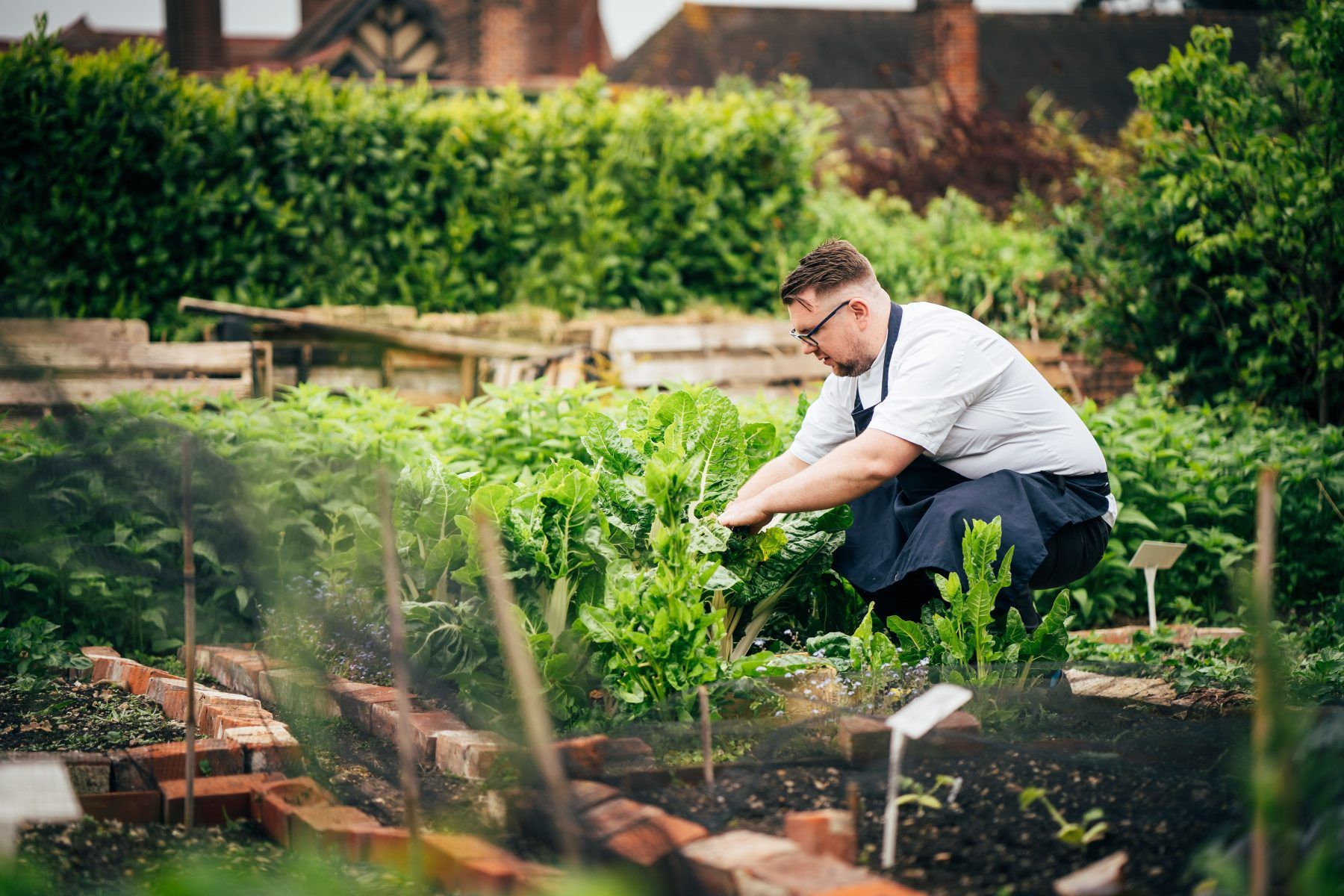 The Montagu Arms chef garden