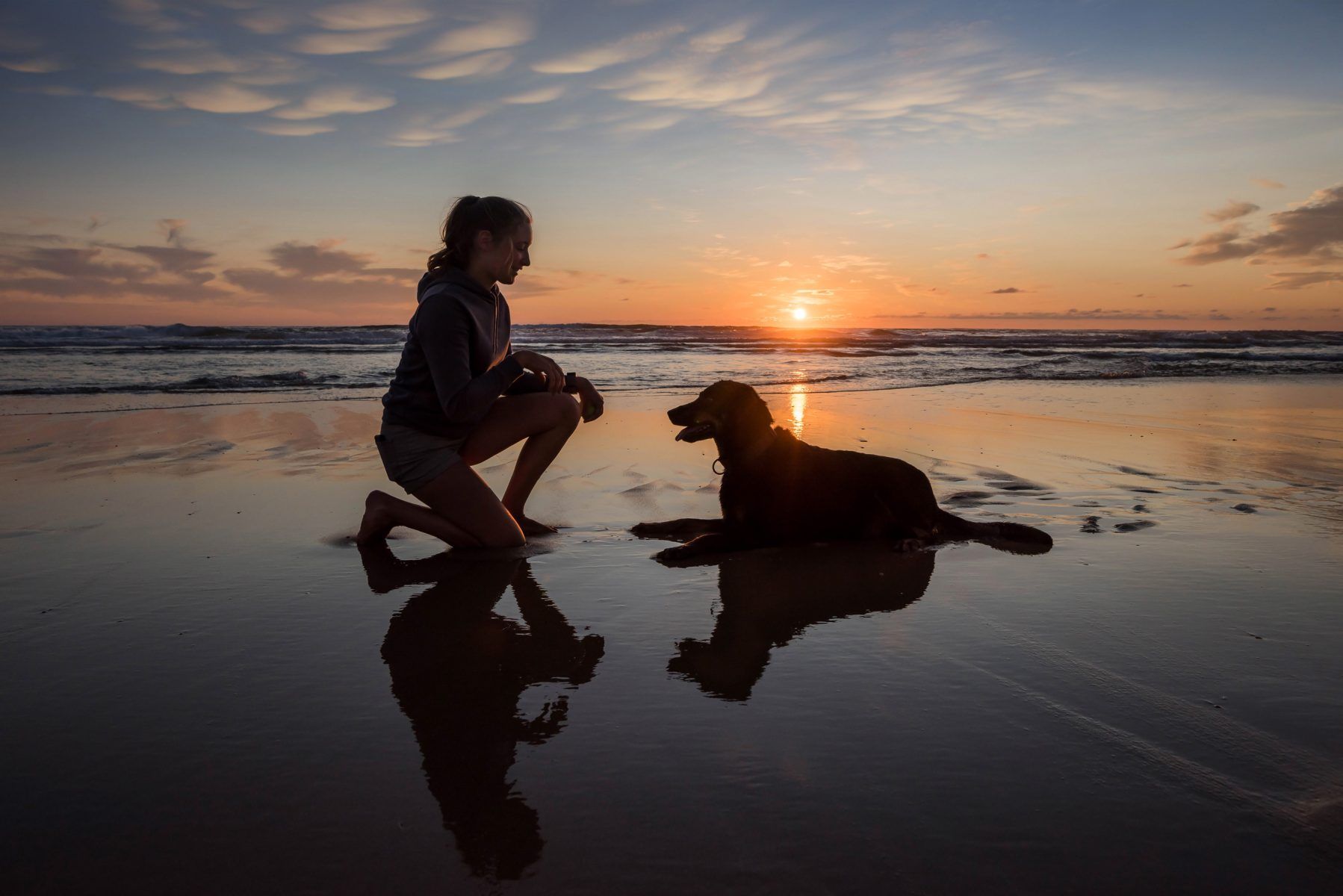 Dog Friendly hotels Cornwall