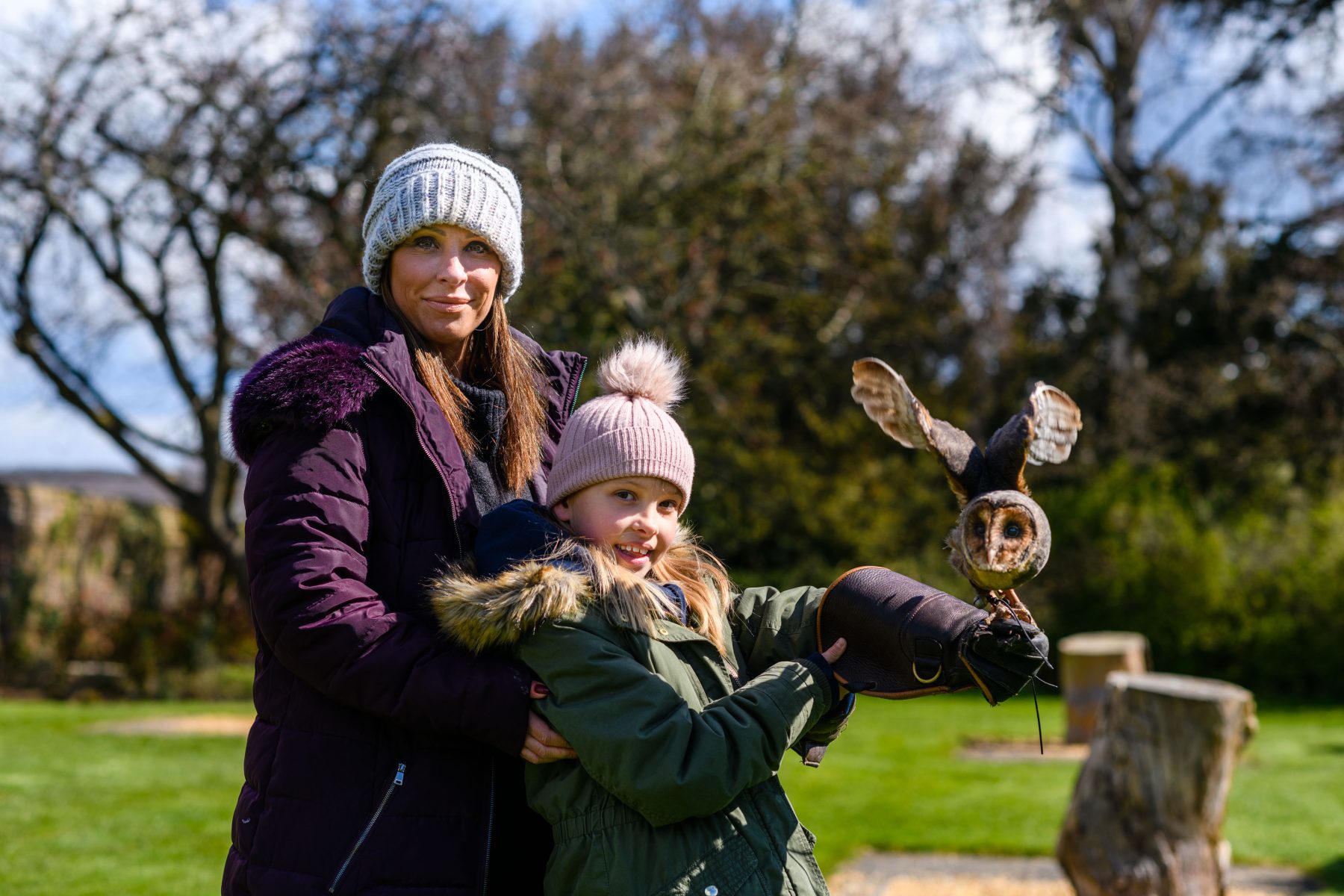 Falconry at Swinton Park