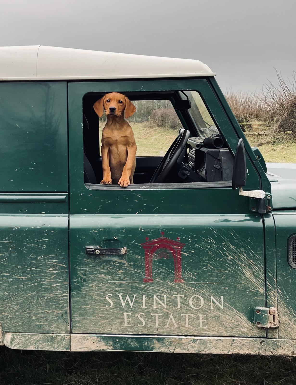 Dog friendly hotels Yorkshire