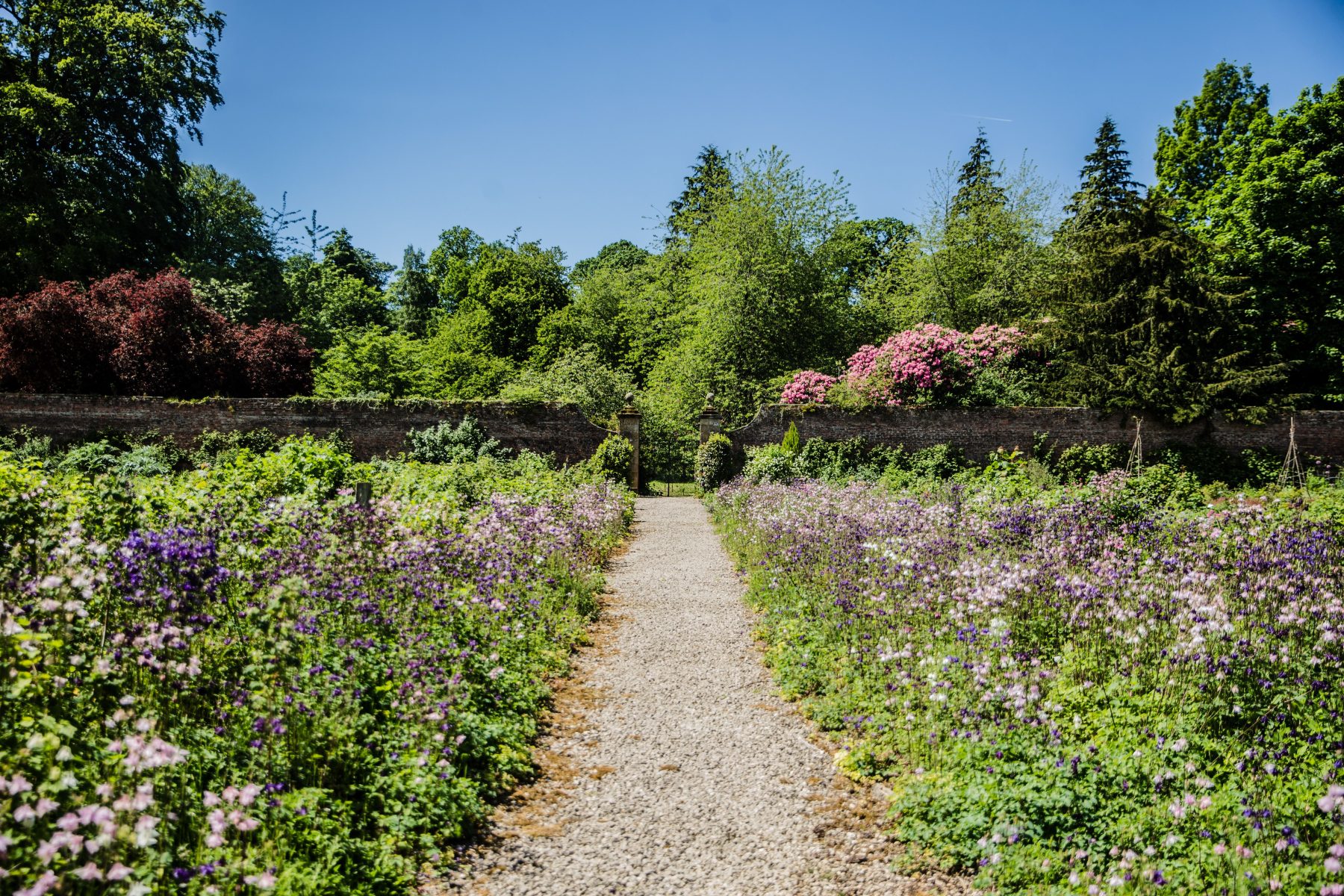 Walled Garden