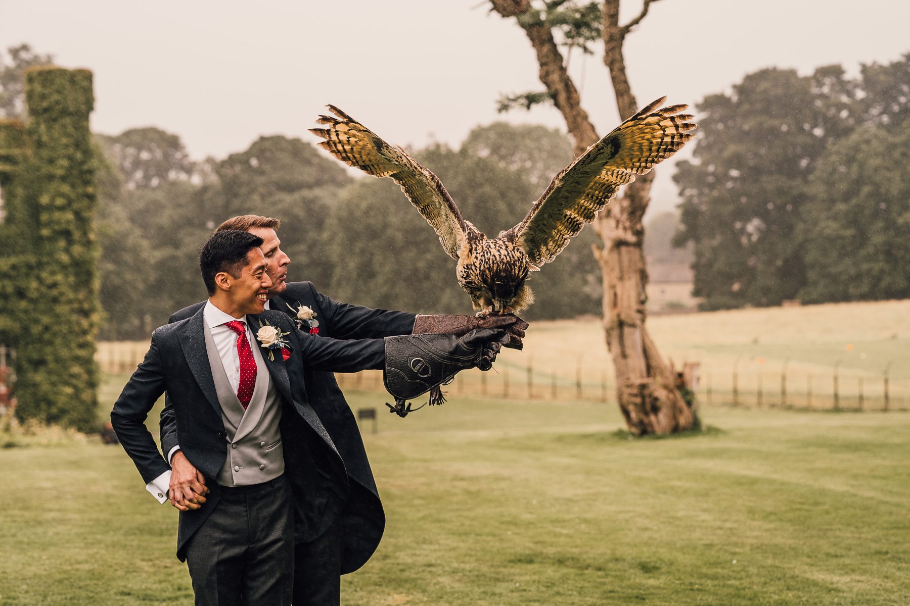 Falconry at Swinton Park