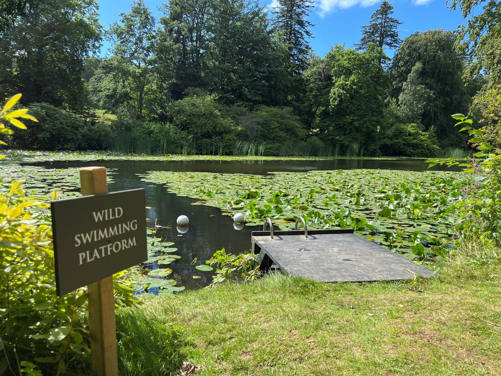 Wild Swimming at Swinton Park