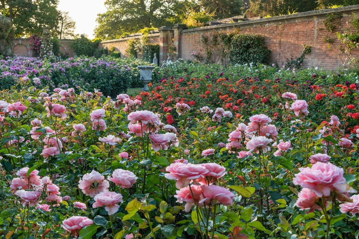 Hever Gardens