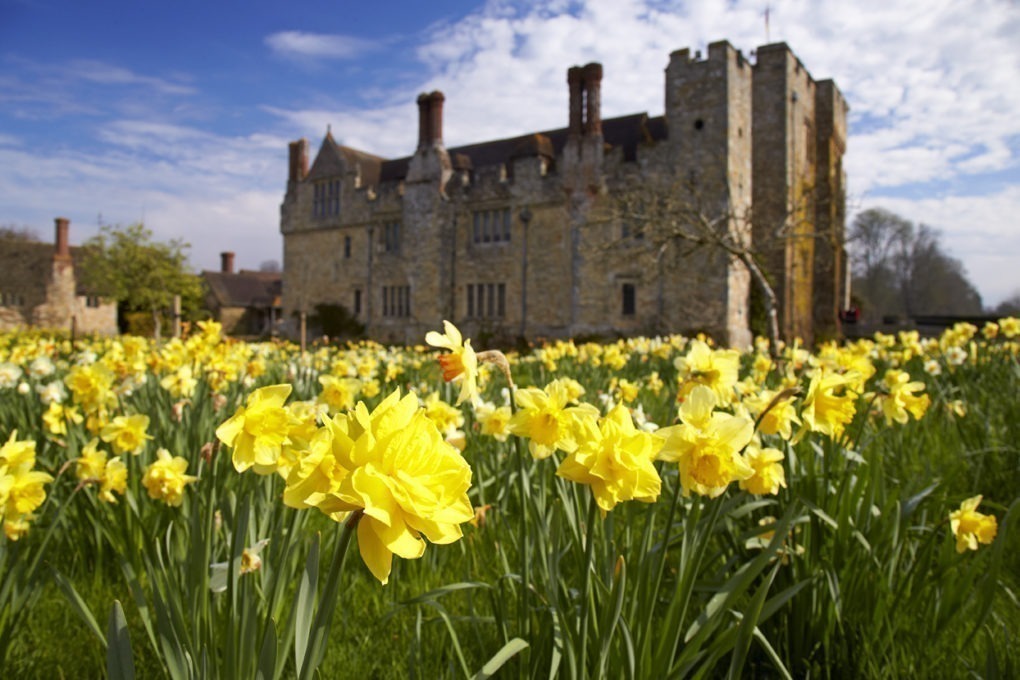 Hever in Bloom